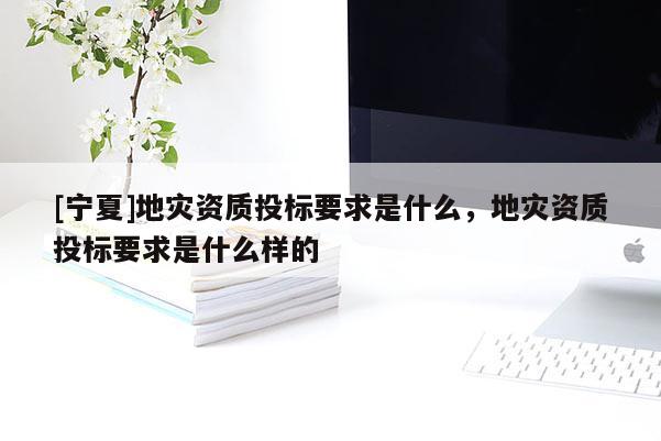 [寧夏]地災(zāi)資質(zhì)投標(biāo)要求是什么，地災(zāi)資質(zhì)投標(biāo)要求是什么樣的