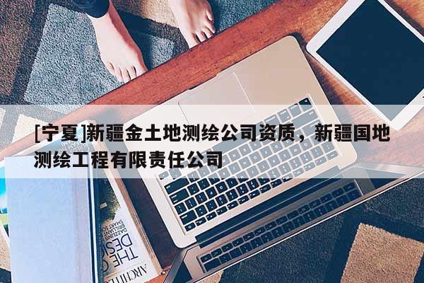 [寧夏]新疆金土地測繪公司資質(zhì)，新疆國地測繪工程有限責(zé)任公司