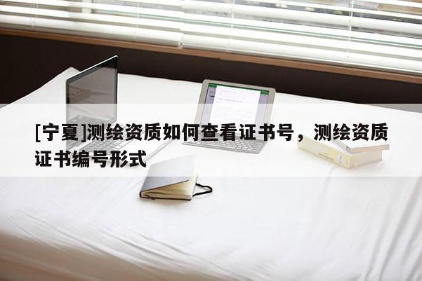 [寧夏]測(cè)繪資質(zhì)如何查看證書號(hào)，測(cè)繪資質(zhì)證書編號(hào)形式