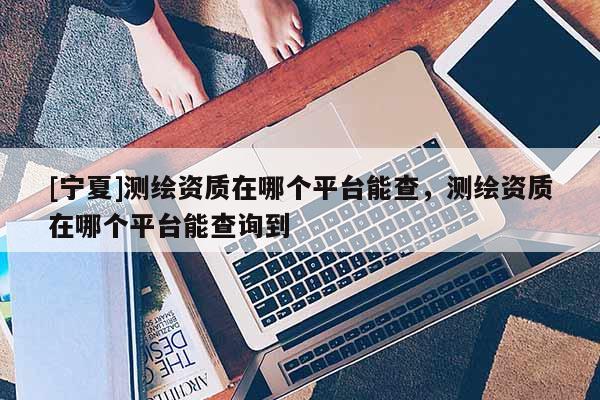 [寧夏]測(cè)繪資質(zhì)在哪個(gè)平臺(tái)能查，測(cè)繪資質(zhì)在哪個(gè)平臺(tái)能查詢到