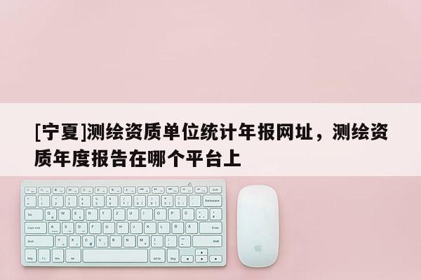 [寧夏]測繪資質(zhì)單位統(tǒng)計(jì)年報(bào)網(wǎng)址，測繪資質(zhì)年度報(bào)告在哪個平臺上