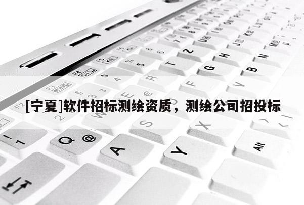 [寧夏]軟件招標(biāo)測繪資質(zhì)，測繪公司招投標(biāo)