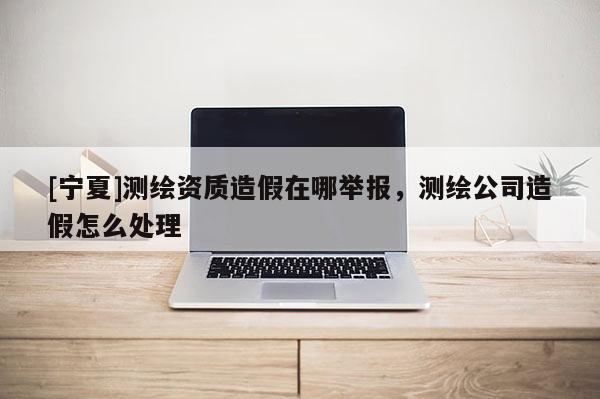 [寧夏]測繪資質(zhì)造假在哪舉報，測繪公司造假怎么處理